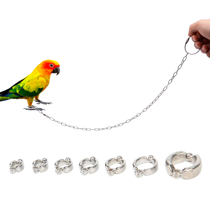 Cincin Kaki Burung Beo Baja Ta - Anklet Foot Chain ulasan dan harga
