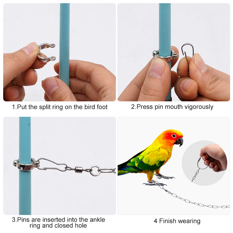 Cincin Kaki Burung Beo Baja Ta - Anklet Foot Chain ulasan dan harga
